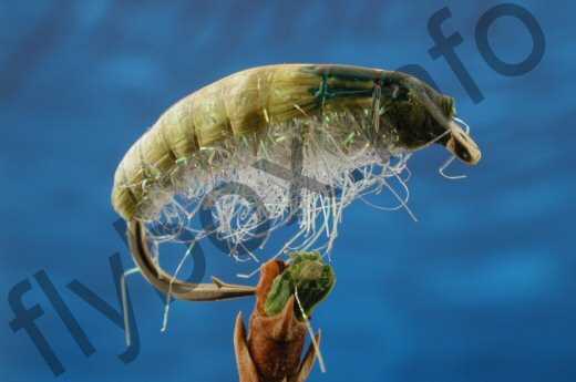 Fish4Flies Epoxy Back Litbrite Chomper